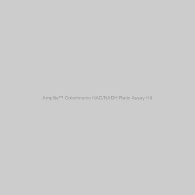 Amplite™ Colorimetric NAD/NADH Ratio Assay Kit